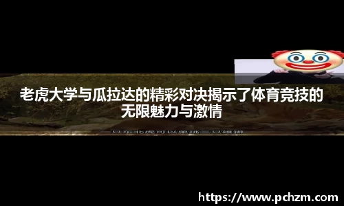 zoty中欧官网