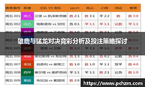 zoty中欧官网