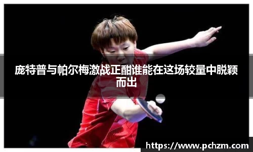 zoty中欧