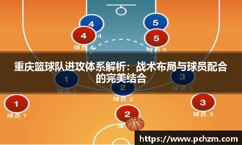 zoty中欧官方网站