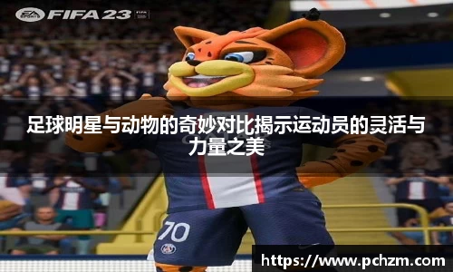 足球明星与动物的奇妙对比揭示运动员的灵活与力量之美