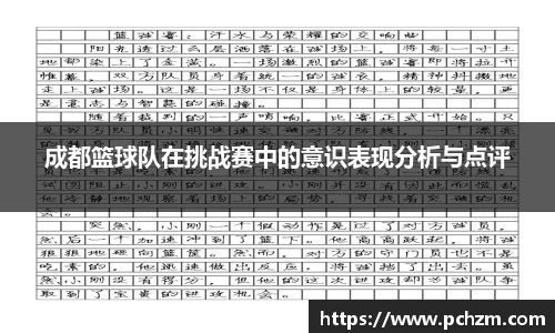 成都篮球队在挑战赛中的意识表现分析与点评