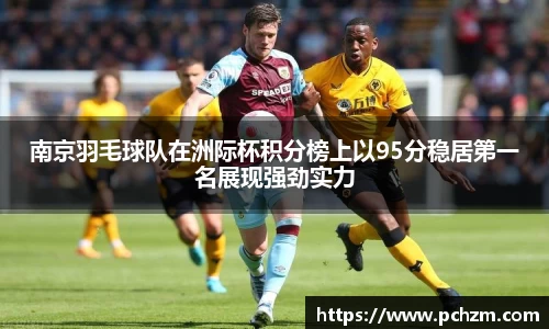 南京羽毛球队在洲际杯积分榜上以95分稳居第一名展现强劲实力